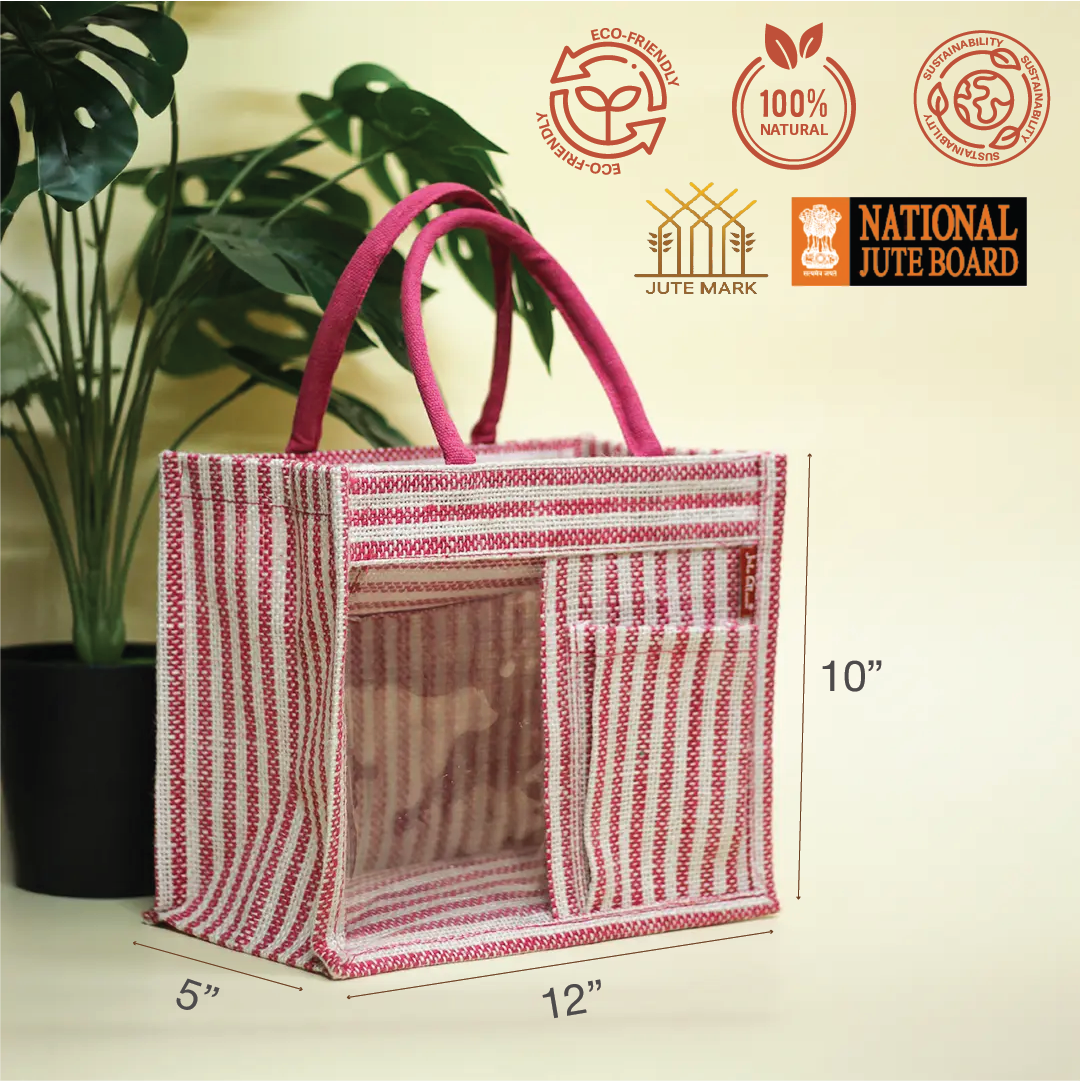 Striped Half-Transparent Zipper Lunch bag